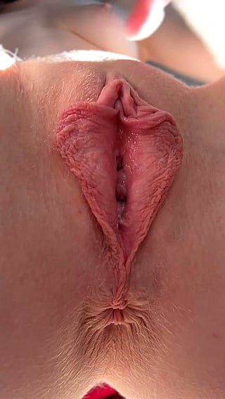 Pussy Lips: A Tight Pussy's Exciting Landing'