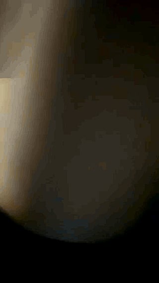 Tiffanysell's Pussy Perfection: A Seductive Journey'